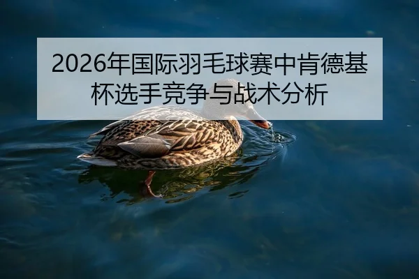 2026年国际羽毛球赛中肯德基杯选手竞争与战术分析