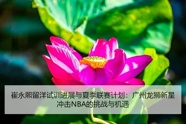 崔永熙留洋试训进展与夏季联赛计划：广州龙狮新星冲击NBA的挑战与机遇