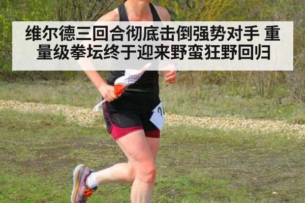 维尔德三回合彻底击倒强势对手 重量级拳坛终于迎来野蛮狂野回归